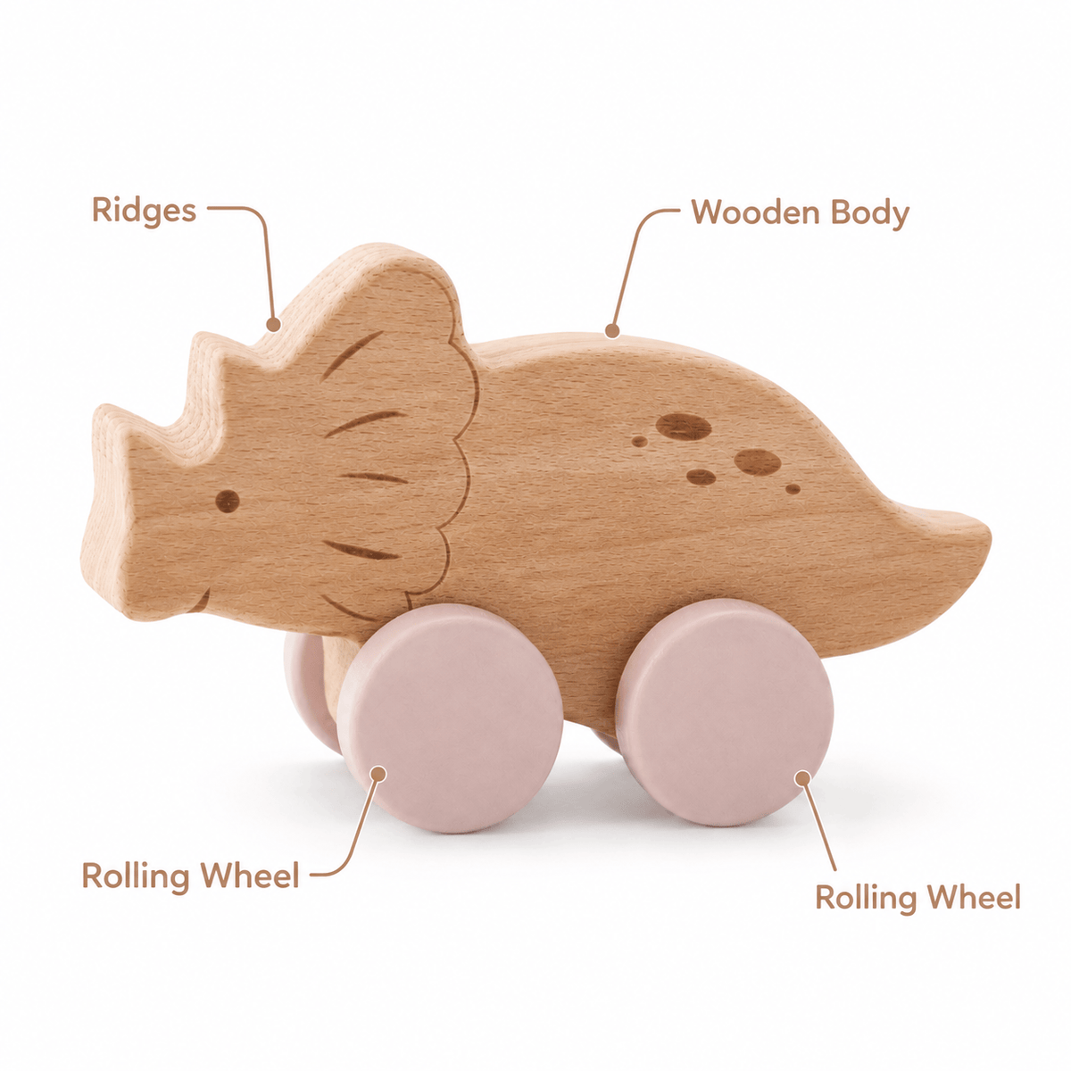 Wooden Dinosaur Push Toy for Toddlers | Montessori Learning Gift