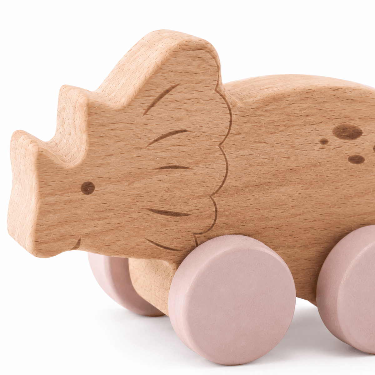 Wooden Dinosaur Push Toy for Toddlers | Montessori Learning Gift