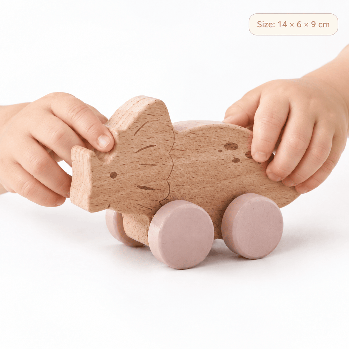 Wooden Dinosaur Push Toy Set for Toddlers - Montessori Play