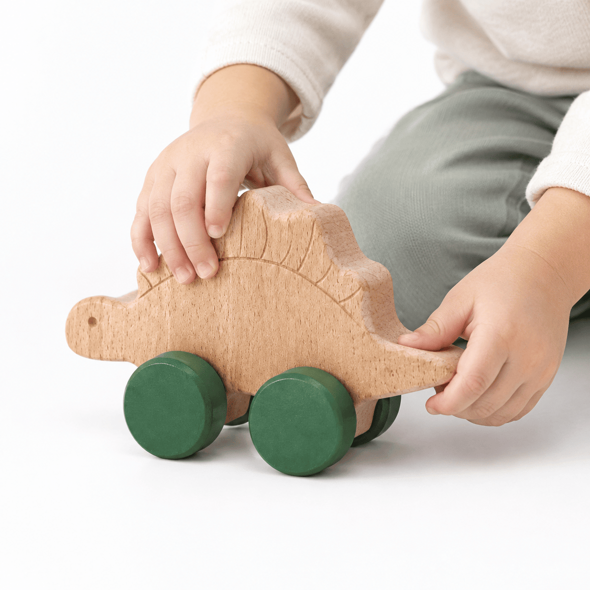 Wooden Dinosaur Push Toy Set – Montessori Toy for Toddlers