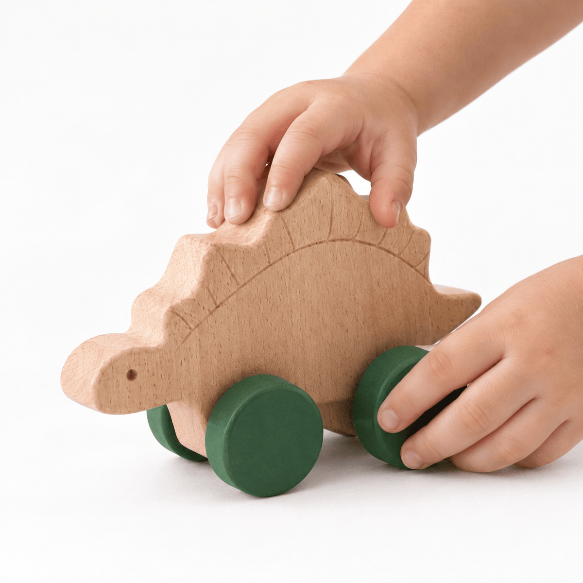 Wooden Dinosaur Push Toy Set – Montessori Toy for Toddlers