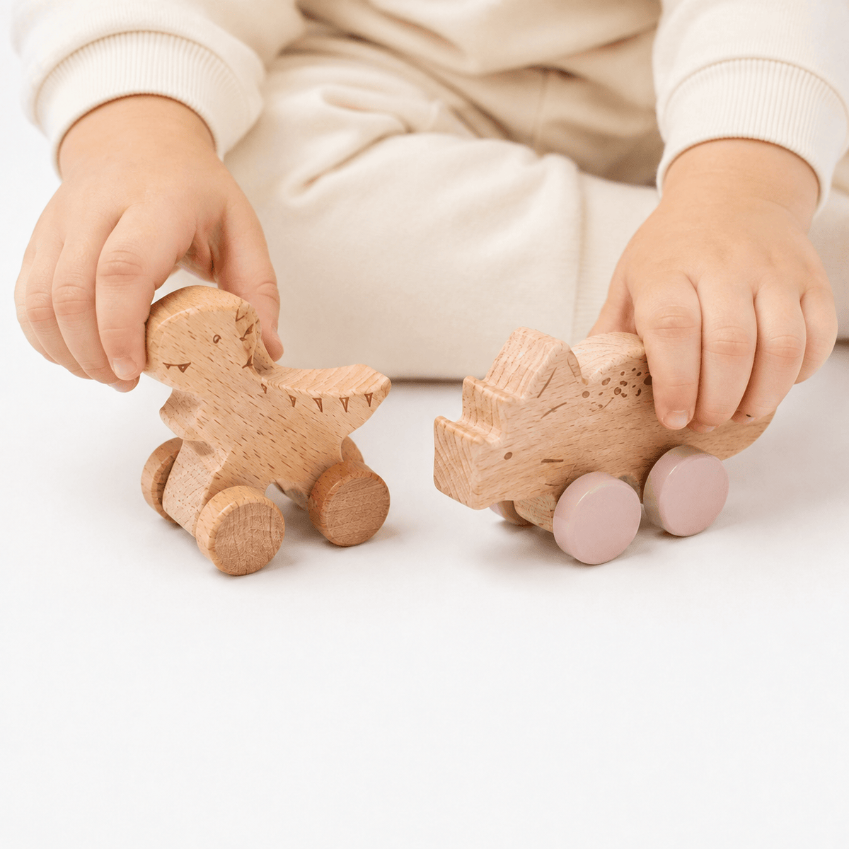Wooden Dinosaur Push Toys for Toddlers - Montessori Learning Toy