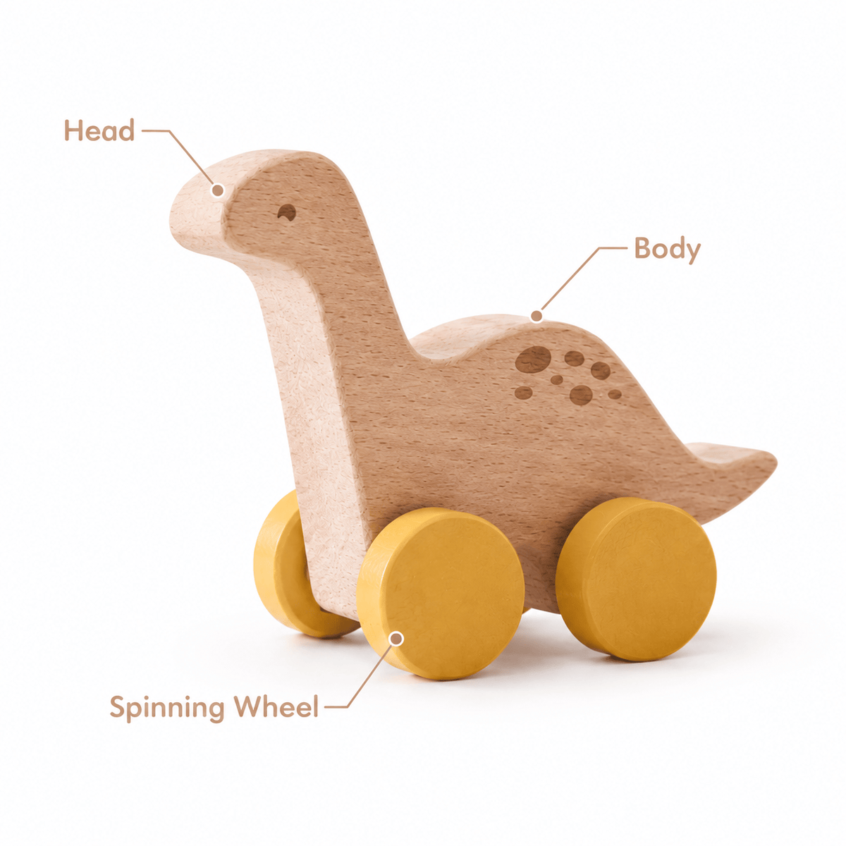 Wooden Dinosaur Push Toys for Toddlers | Montessori Toys